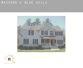 Maisons à  Blue Hills