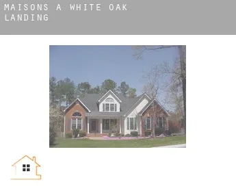 Maisons à  White Oak Landing