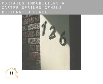 Portails immobiliers à  Carter Springs